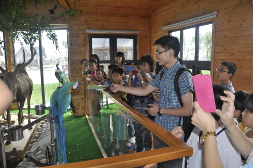 畅游生态湿地感受美丽天津 BR --东丽团区委