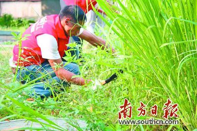 义工在玉律爱心菜园开垦。