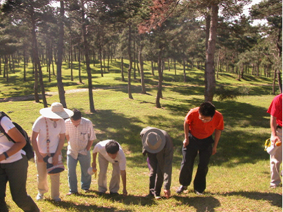 为沙漠,添抹绿--辽宁大学绿舟环保协会对科尔